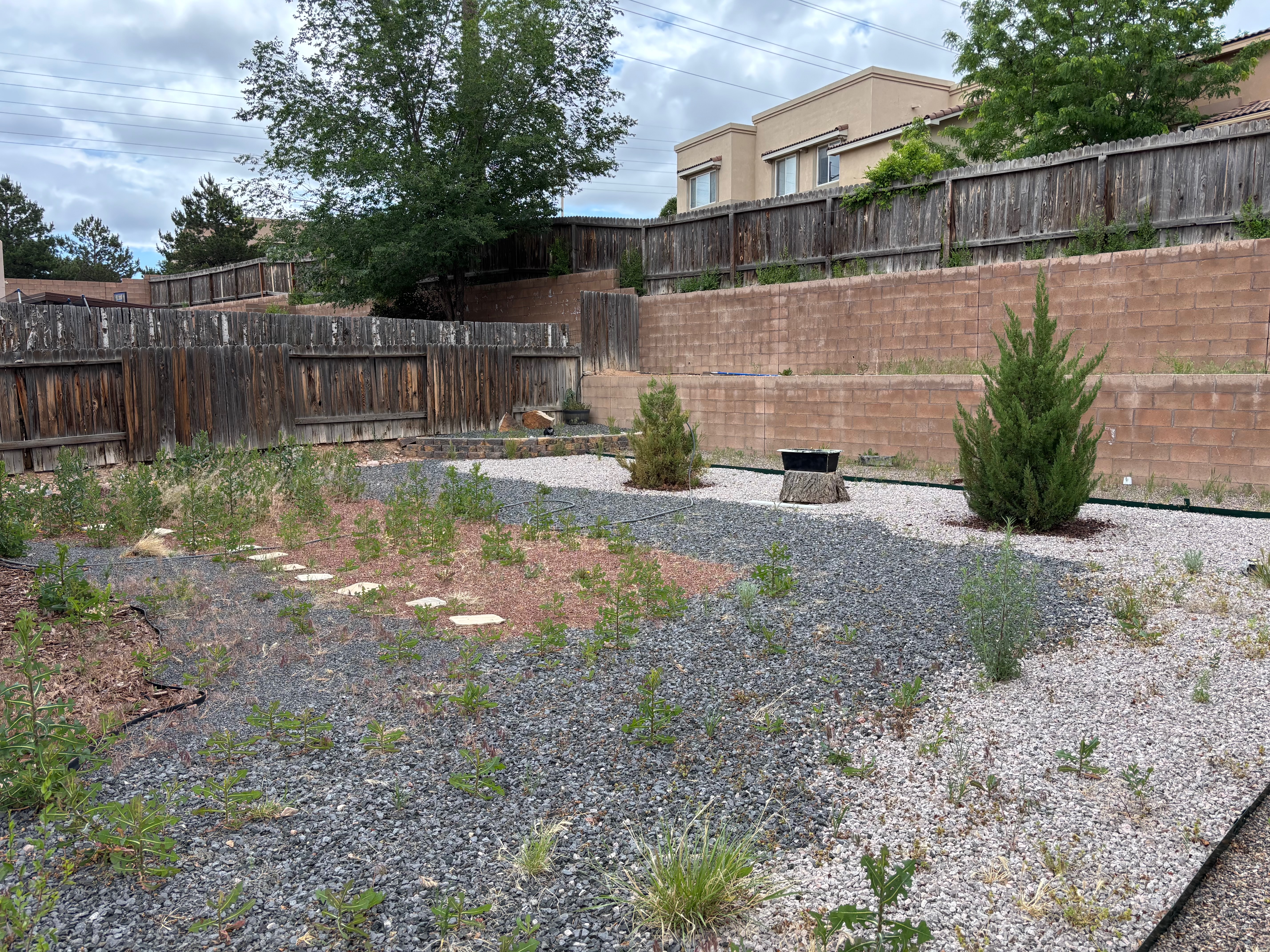 Cleanup Project
